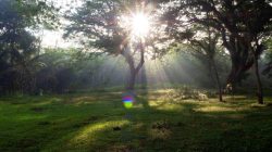 Camping Santai di Bumi Perkemahan Umbulan Karang Trenggalek