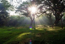 Camping Santai di Bumi Perkemahan Umbulan Karang Trenggalek