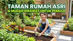 Cara Membuat Taman Rumah yang Asri dan Mudah Dirawat untuk Pemula